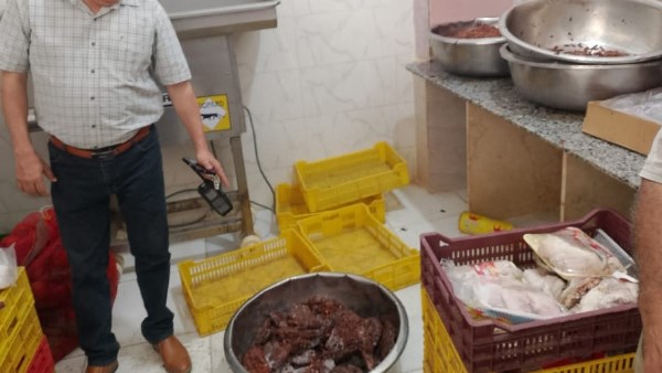 لحوم فاسدة 