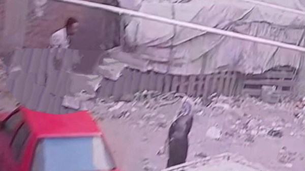 بلطجة المتهم وضبط بارتكابه الفعل الفاضح 