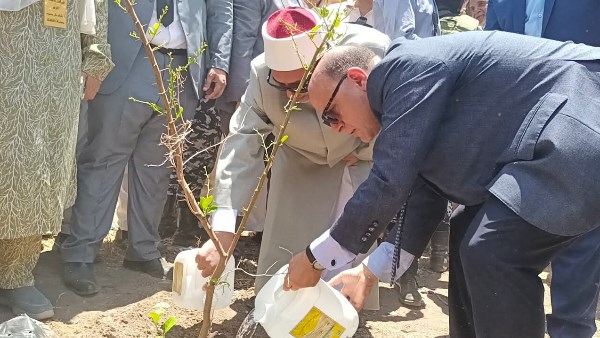 زراعة الأشجار المثمرة 