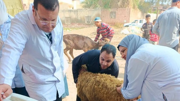 فحص وعلاج 