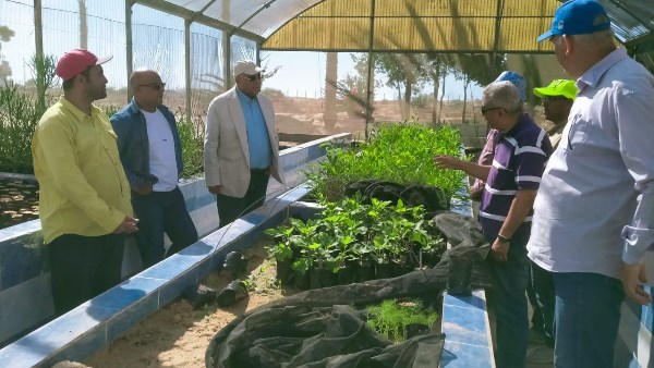 بحوث الصحراء