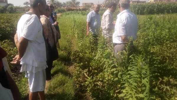 ندوات إرشادية 