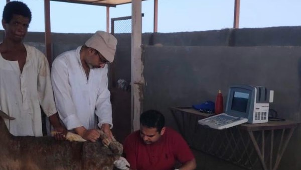 بحوث الصحراء 