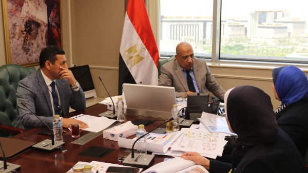 الدكتور محمود عصمت وزير الكهرباء