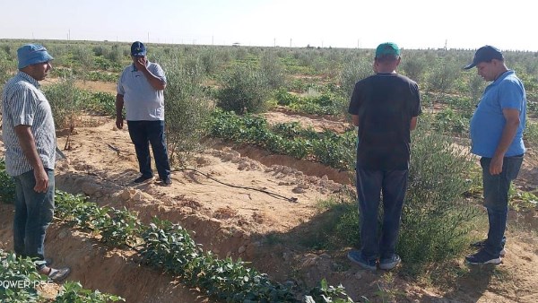 بحوث الصحراء