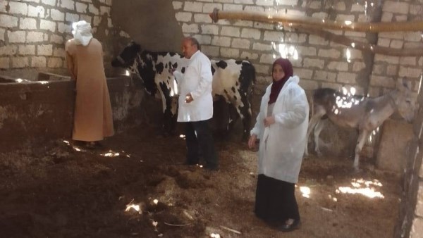 الحملة القومية للتحصين