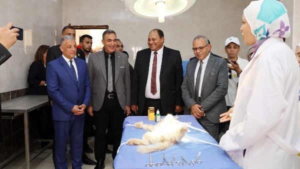 القضاء على السعار 