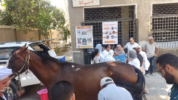 الخيول