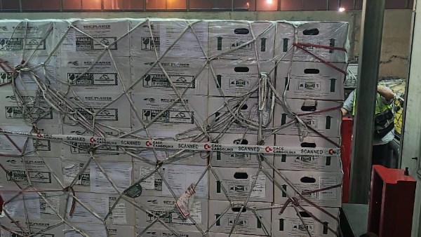 شحنة بطاطس