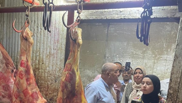 لحوم فاسدة