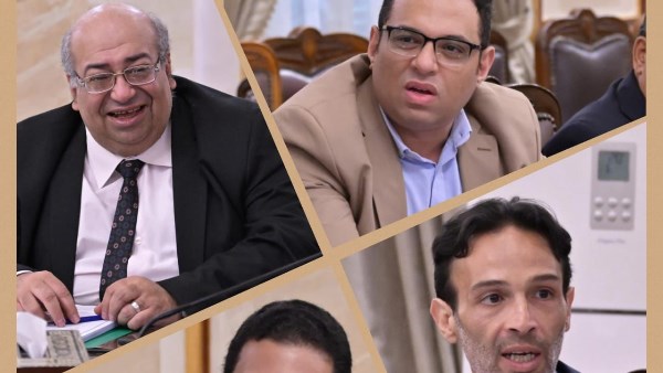 جانب من الفاعليات 