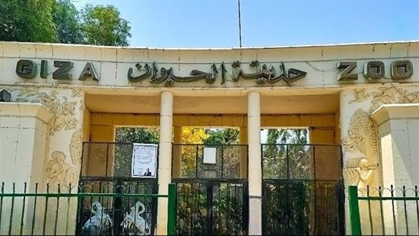 موعد افتتاح حديقة الحيوان 