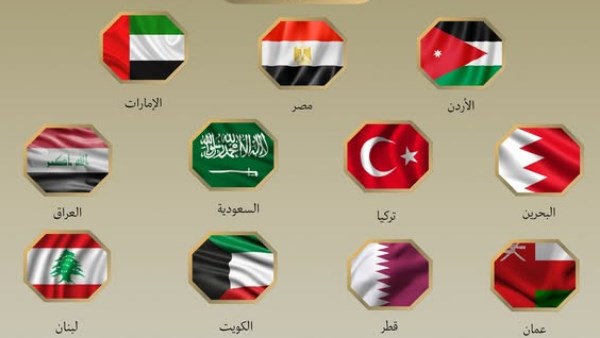 محادثات دبلوماسية مصرية مكثفة مع وزراء خارجية الاردن وتركيا والامارات والبحرين ..