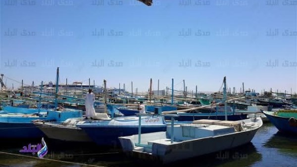 عاجل .. عودة الحياة إلى شواطئ البحر الأحمر.. استئناف الصيد بعد حظر استمر شهرين 