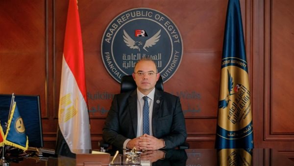 الدكتور محمد فريد رئيس هيئة الرقابة المالية