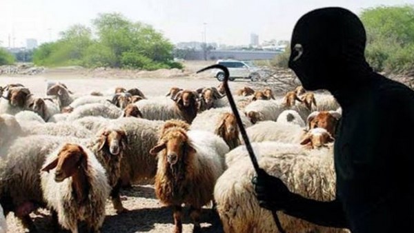 أرشيفية