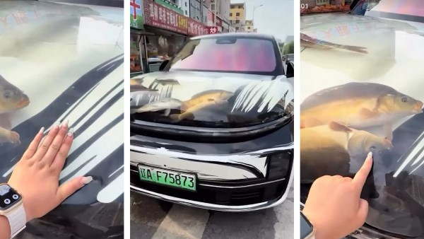 حوض أسماك SUV