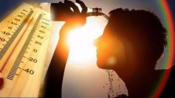 شبورة مائية كثيفة.. الأرصاد تحذر من درجات الحرارة المرتفعة. | ماذا قالت؟
