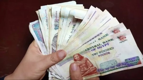 عائد شهادة القمة