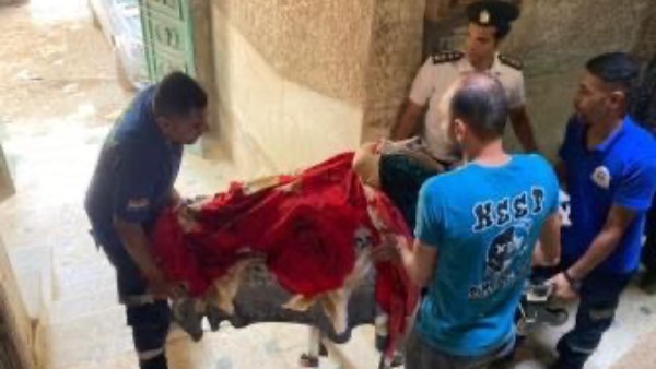 فى لفتة إنسانية.. استجابة فورية من الأمن لسيدة غير قادرة على الحركة بالقاهرة