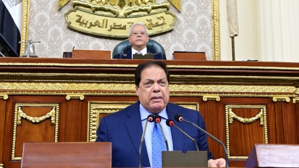 النائب محمد أبو العينين