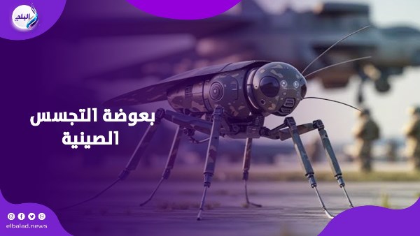 بعوضة صينية