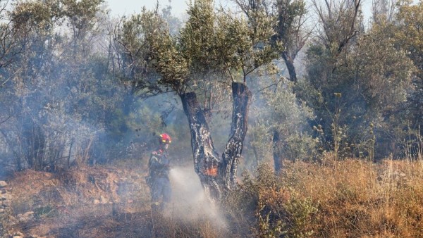 إجلاء 5000 سائح من جزيرة كريت اليونانية بسبب حرائق الغابات
