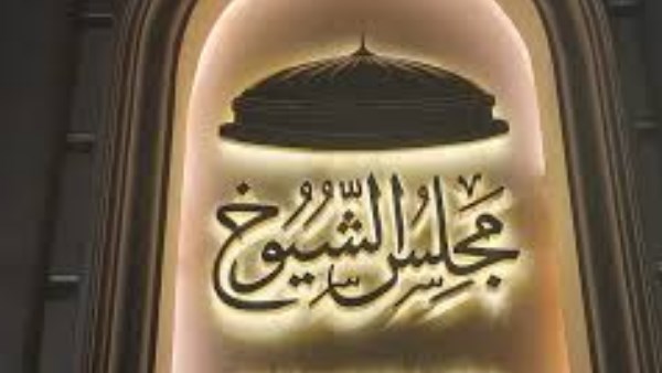 ننشر قائمة أسماء المتنافسين بانتخابات مجلس الشيوخ في المنيا