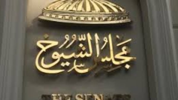 10 مرشحين.. ننشر قائمة أسماء المتنافسين بانتخابات مجلس الشيوخ في بني سويف