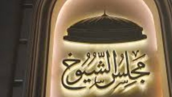 بعد تنازل 4.. 241 مرشح حزبي و183 مستقل بانتخابات مجلس الشيوخ 