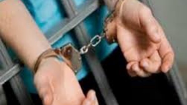 حبس جزار وسائق حاولا سرقة صاحبة محل طيور بالمعادى
