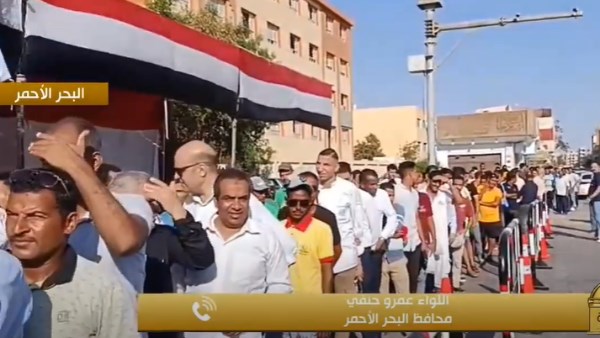 انتخابات مجلس الشيوخ 