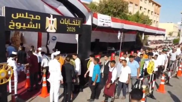 إقبال كبير من المواطنين على مراكز انتخابات الشيوخ في الإسكندرية