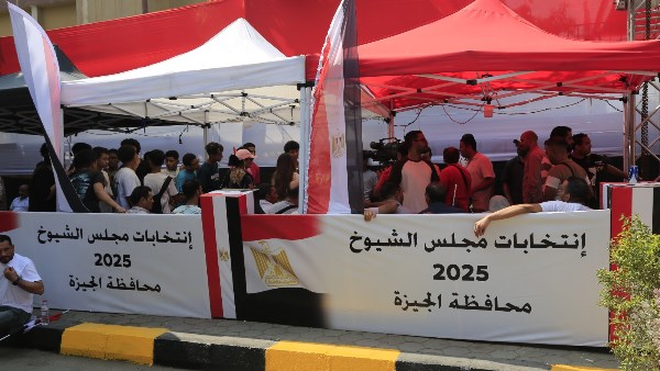 انتخابات مجلس الشيوخ.. المرأة تتصدر المشهد الانتخابي في الجيزة