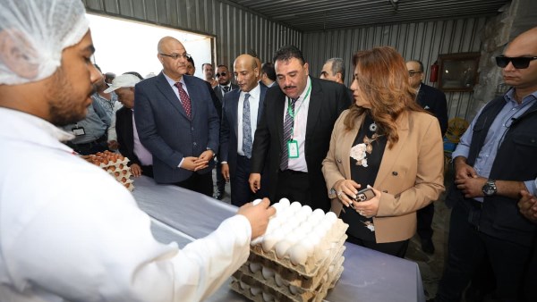 جولة وزيرة التنمية المحلية