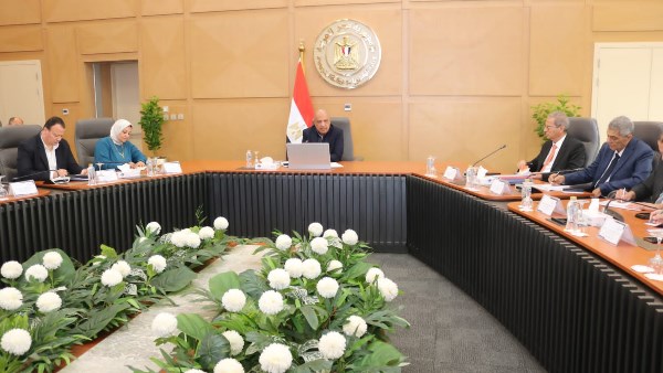 الدكتور محمود عصمت وزير الكهرباء