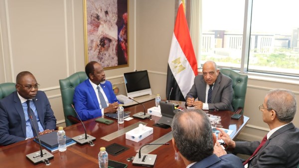 وزير الكهرباء والطاقة المتجددة