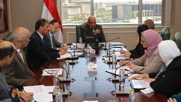 وزير الكهرباء 