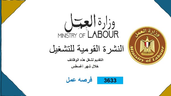 3633 فُرصة عمل في القطاع الخاص برواتب مجزية.. تفاصيل