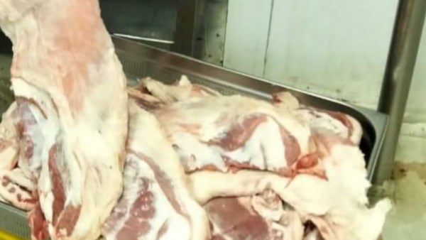 ضبط 12 طن أجزاء دجاج وجمبري غير مطابقة للمواصفات بالدقهلية