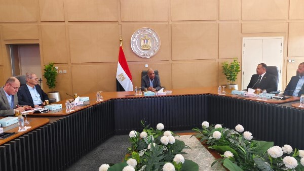 الدكتور محمود عصمت وزير الكهرباء والطاقة المتجددة 