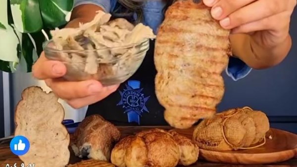مجاعة غزة 