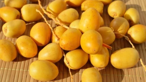 البلح البرحي