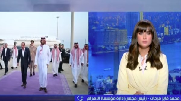 الدكتور محمد فايز فرحات رئيس مجلس إدارة مؤسسة الأهرام