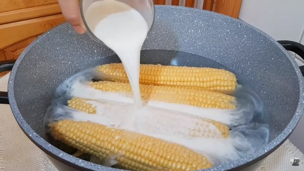 طريقة سلق الذرة مثل المعلبات الجاهزة بمذاق حلو  