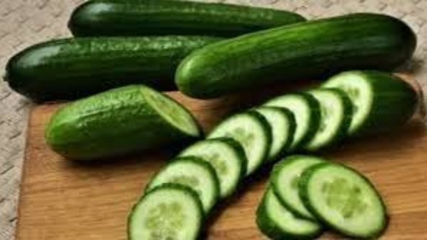 نشرة المرأة والمنوعات