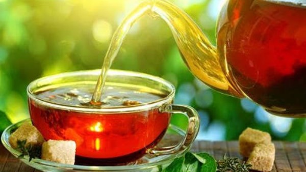 نشرة المرأة والمنوعات
