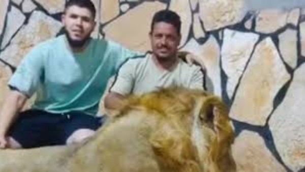 التحليل النفسي لشخصية صاحب الأسد وسلوكه