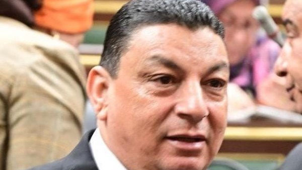 برلماني: إقبال المصريين بالخارج على انتخابات الشيوخ يؤكد وعيهم وحرصهم على المشاركة