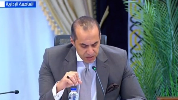 محمود فوزي، وزير الشؤون النيابية